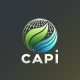 capiinitiate.com